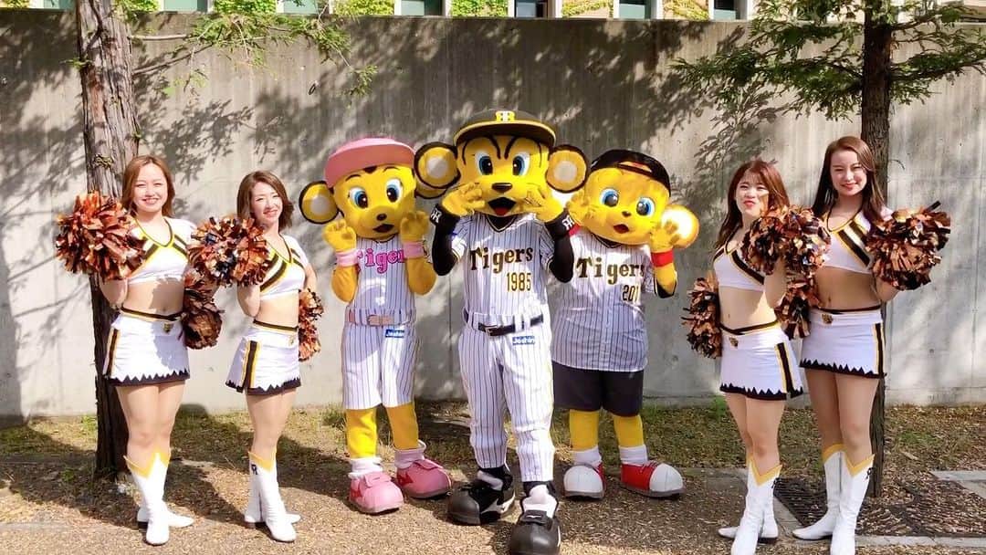 TORACOのインスタグラム：「阪神甲子園球場開催の #TORACODAY は6月26日(日)!! 「#TORACO 」「#TORACOダンス」で動画を投稿して、TORACO DAYを盛り上げましょう！ ※TORACOダンスはロングverでもショートverでもどちらでもOKです‼︎ #阪神タイガース #TORACOダンスみんなで踊ってみた」
