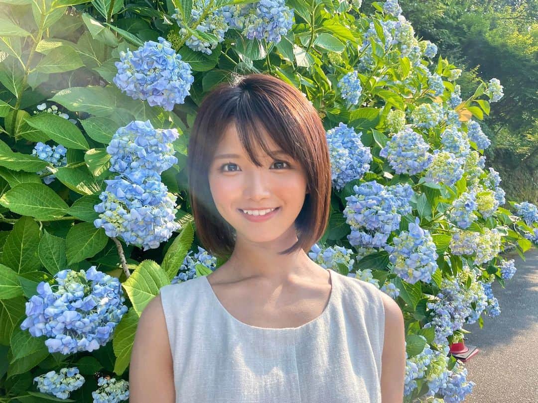 山本ゆうかのインスタグラム：「紫陽花！」