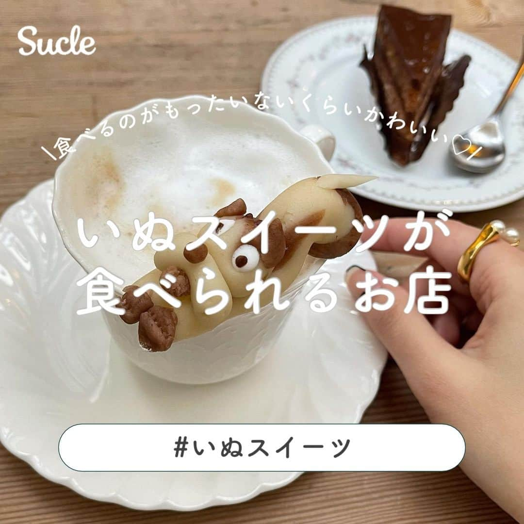 SUCLEのインスタグラム