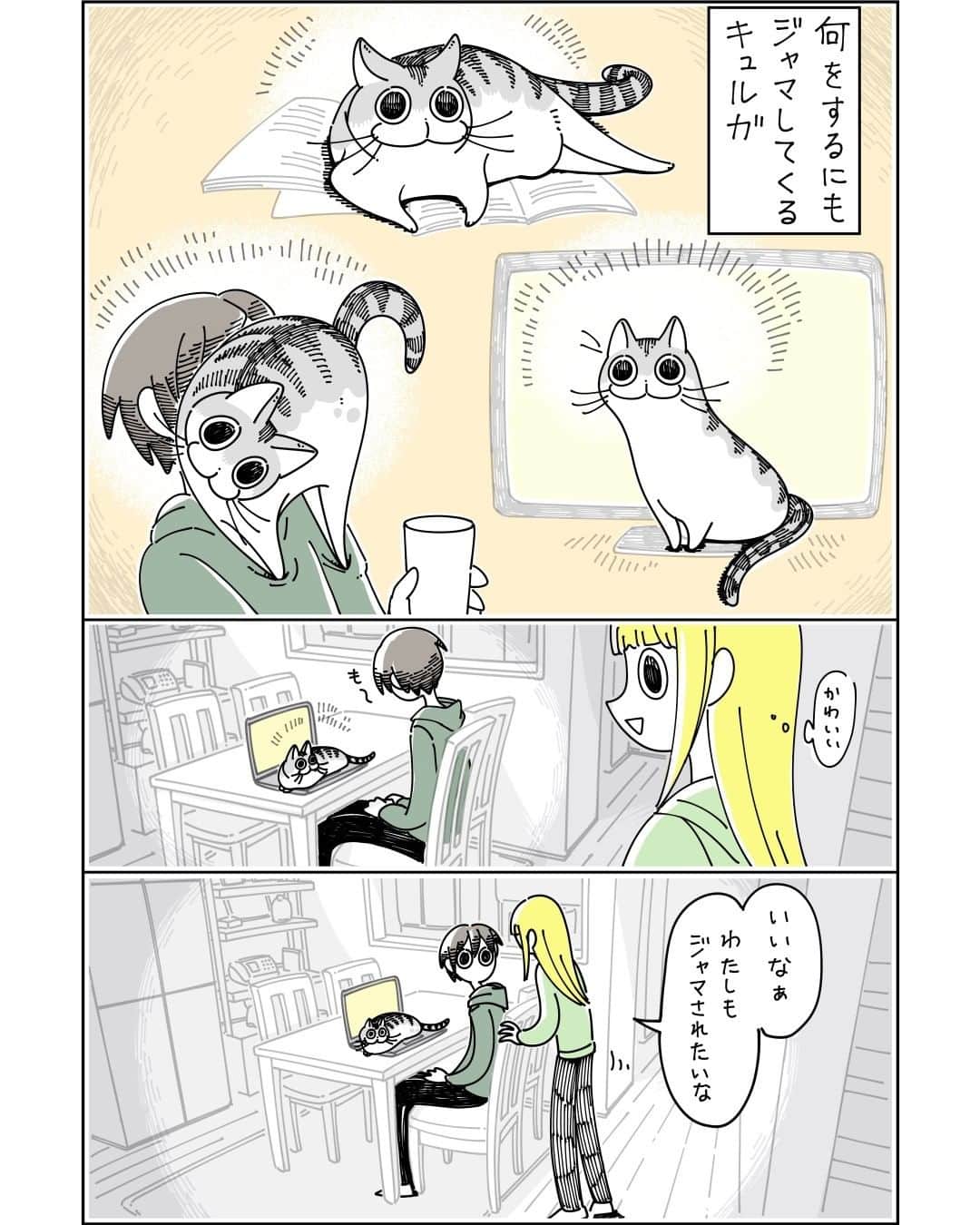 キュルZのインスタグラム：「ジャマしたいネコ  #キュルガ #夜は猫といっしょ #猫 #猫漫画 #猫のいる暮らし」