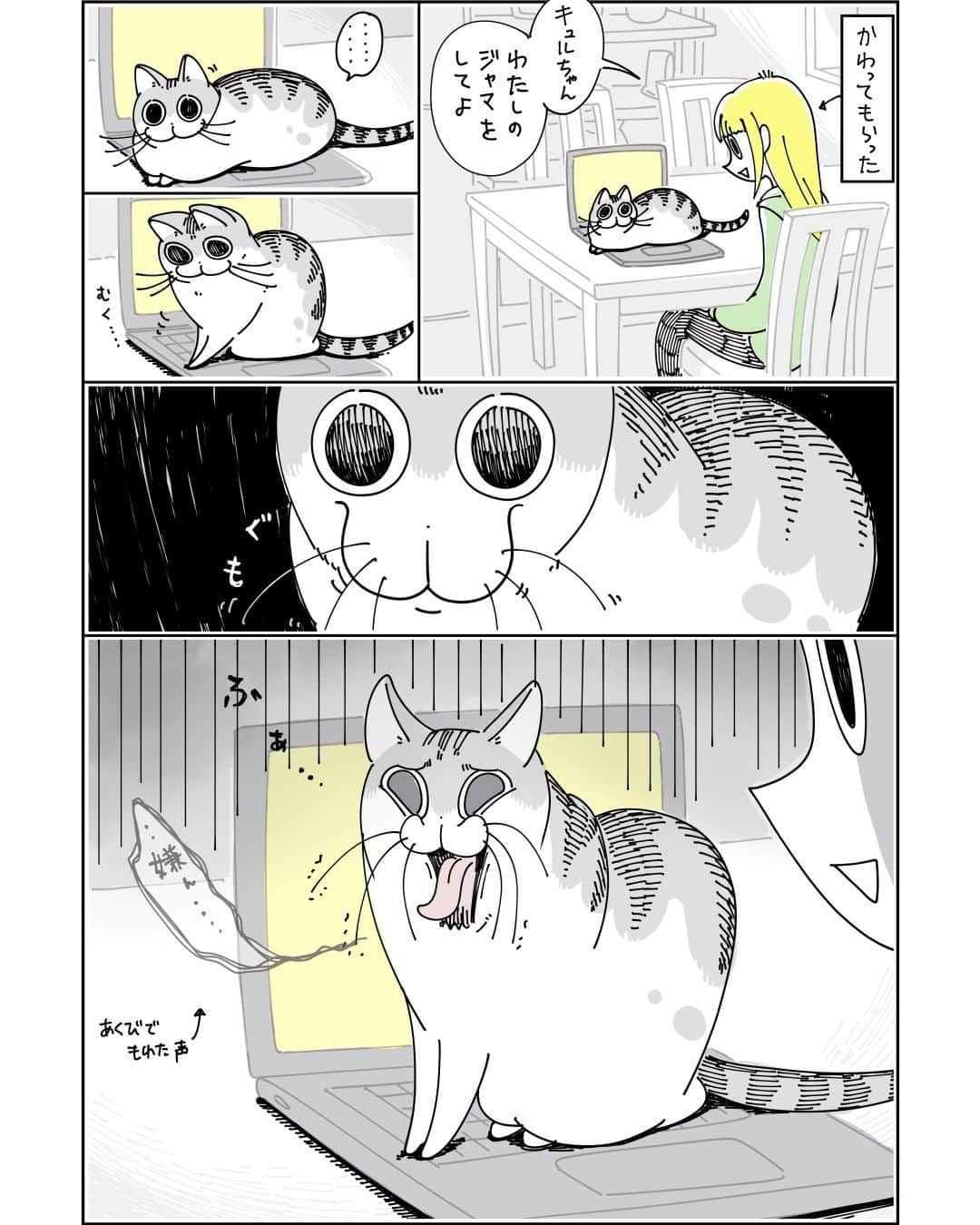 キュルZさんのインスタグラム写真 - (キュルZInstagram)「ジャマしたいネコ  #キュルガ #夜は猫といっしょ #猫 #猫漫画 #猫のいる暮らし」6月20日 21時10分 - kyuryuz