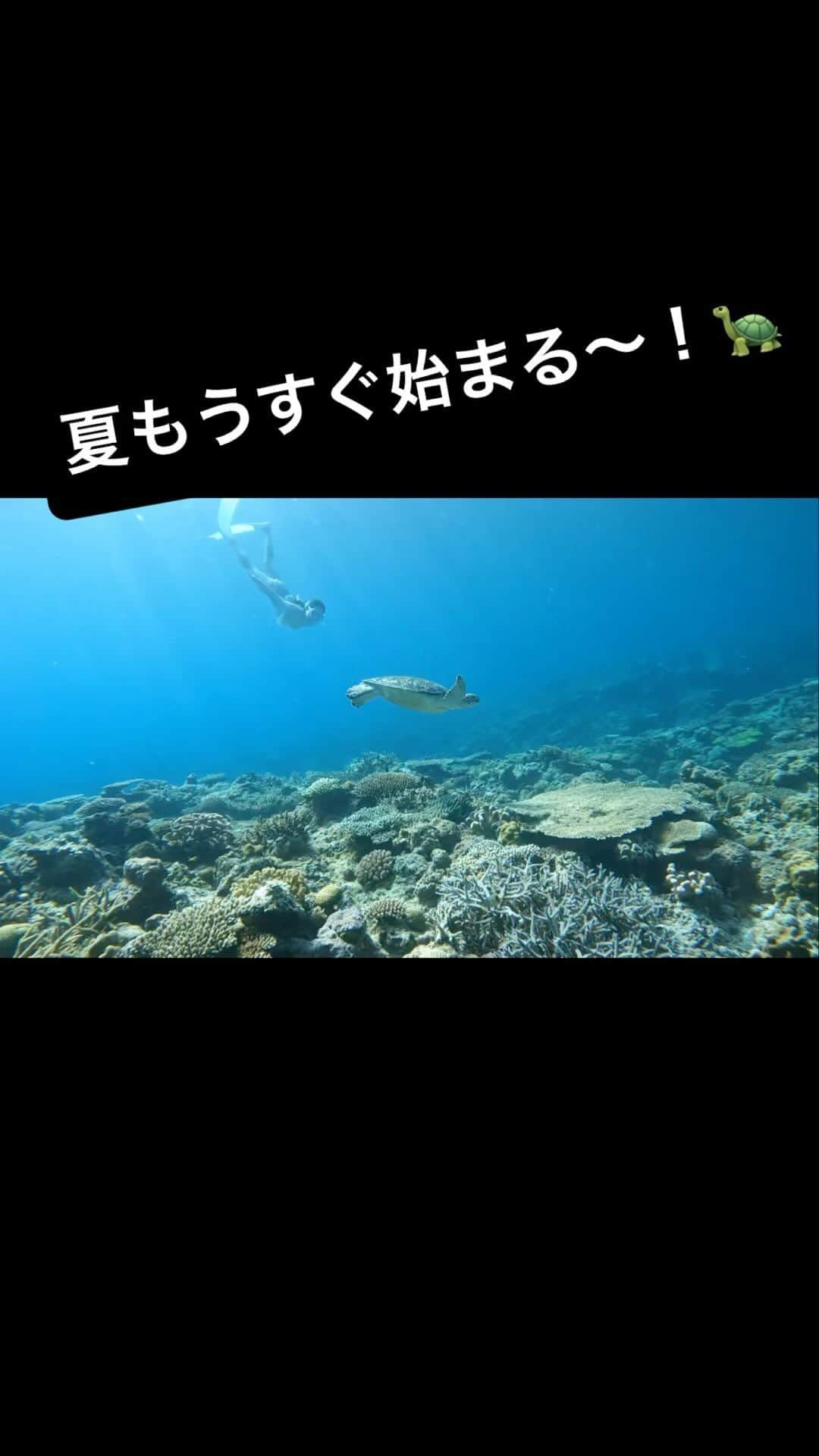 林檎蜜紀のインスタグラム