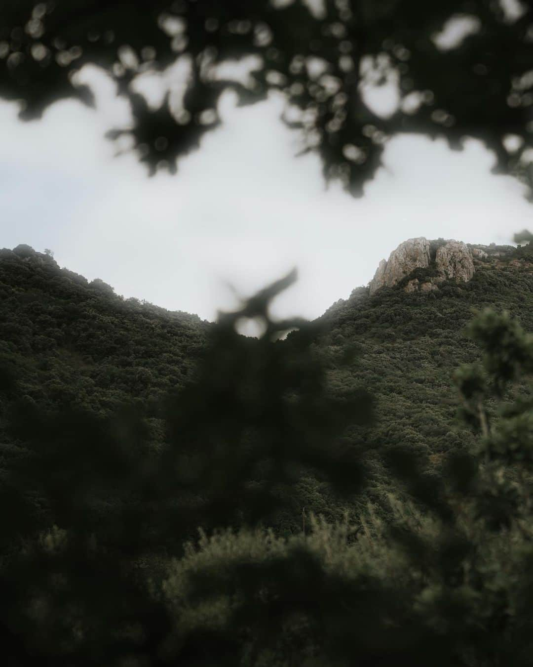 Enzo Cariniさんのインスタグラム写真 - (Enzo CariniInstagram)「Welcome to Paradise 🍃 @soukilodgesspa   #lodge #nature #hotel #destination #voyageursdumonde」6月21日 2時17分 - enzo_carini