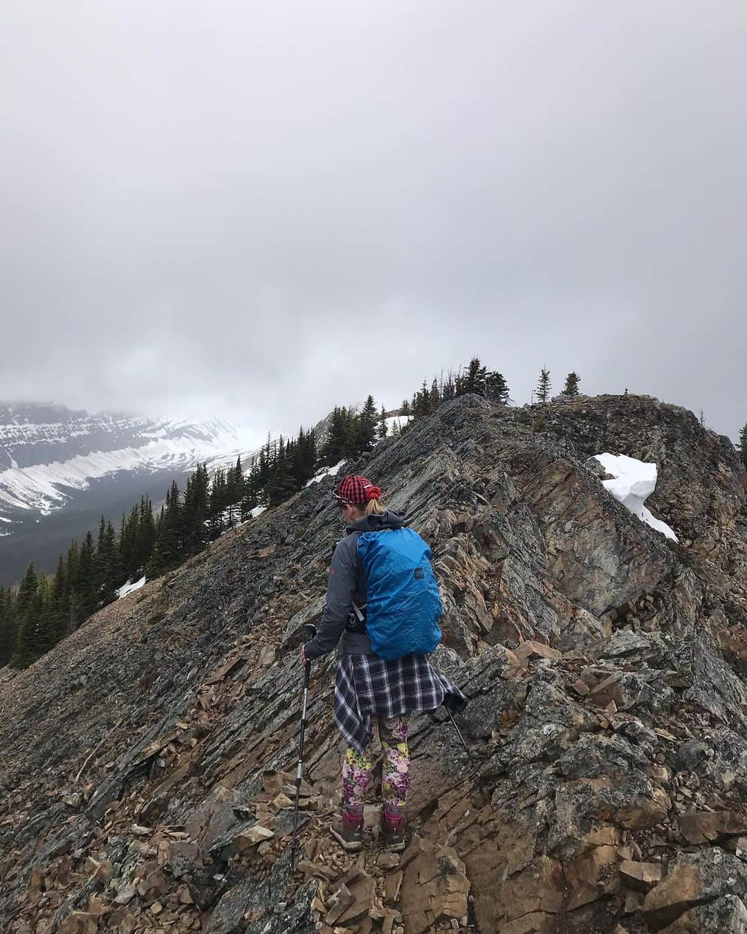 ヘイリー・ベルのインスタグラム：「5/26 South Lawson Peak 🏔」