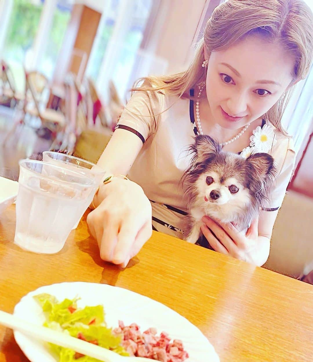 風花舞さんのインスタグラム写真 - (風花舞Instagram)「おかあさん 写真はいいから早く🍖（肉）  ※タイム、心の俳句（季語がないから川柳かな🤣）  きっと「お肉遠いなー💧お肉ってわかってるからぁ、指差し確認いらんからぁ😤」と思いながら、 お皿を見ていたに違いない🤣  #ちわわ#チワワ#ちわわ大好き#ちわわ親バカ部#チワワ部#チワワ大好き#かわいい#癒し#家族#仲良し#幸せ#動物#チワスタグラム#animal#dog#family#chihuahua#chihuahuas#chihuahualove#chihuahualife#cute#sweet#happy#treasure#love」6月21日 10時13分 - kazahanamai_official