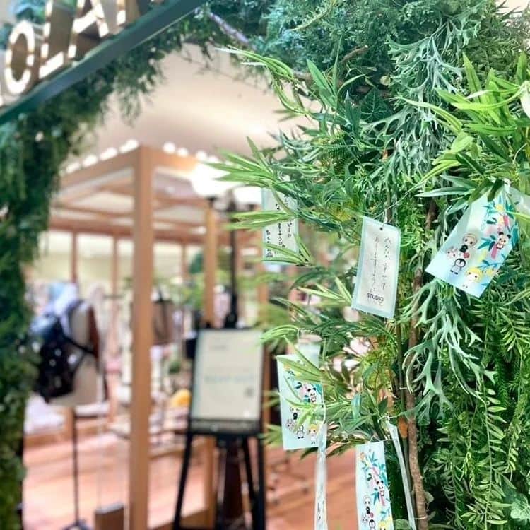 ROBERTA本店のインスタグラム：「.  【願いを込めて短冊を飾りませんか..？】  来月7月7日は七夕。　 各地では七夕を盛大にお祝いするお祭りもあるそうですね＾＾ 歴史の長いお祭りは江戸時代から続いているとか・・?!  ROBERTAを取り扱い中の アタオランド店でも 現在七夕まつりを開催しております🎋  ⭐開催日:2022年6月7日(火)〜7月7日(木)  ぜひ皆さまも短冊に願い事を書いて、 夏ならではの日本の情緒を 味わいにいらしてくださいませ🌟  #アタオランド #ロベルタ #ロベルタディかメリーノ  #七夕イベント #七夕 #願いを短冊に込めて🎋 #短冊 #🎋 #夏 #バッグ #財布 #雨の日バッグ #スタジオアタオ」