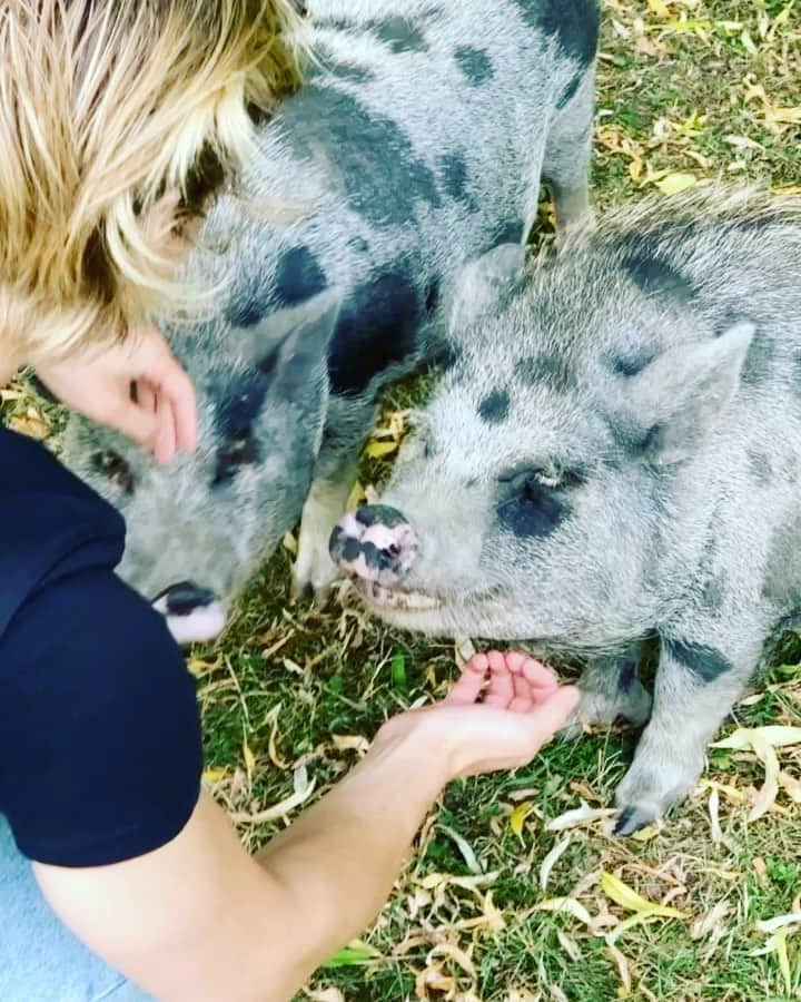 オスカー・エーネスタードのインスタグラム：「☀️🐛💥」