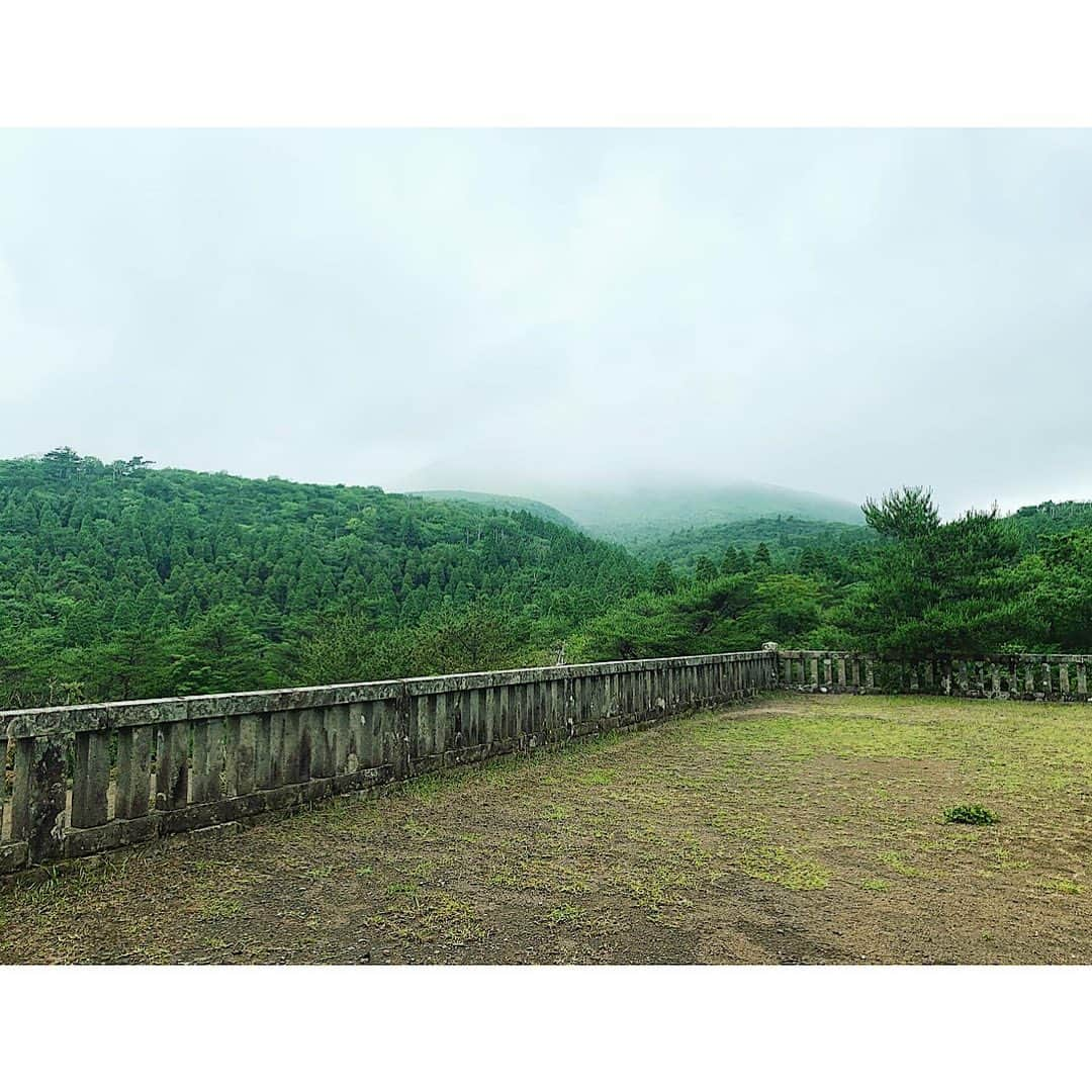 高杉さと美さんのインスタグラム写真 - (高杉さと美Instagram)「自然美  🌿⛰🌲🍃  #書 #書道  #作品 #半切  #自然描写  #japanesecalligraphy」6月21日 18時40分 - satomi_mira