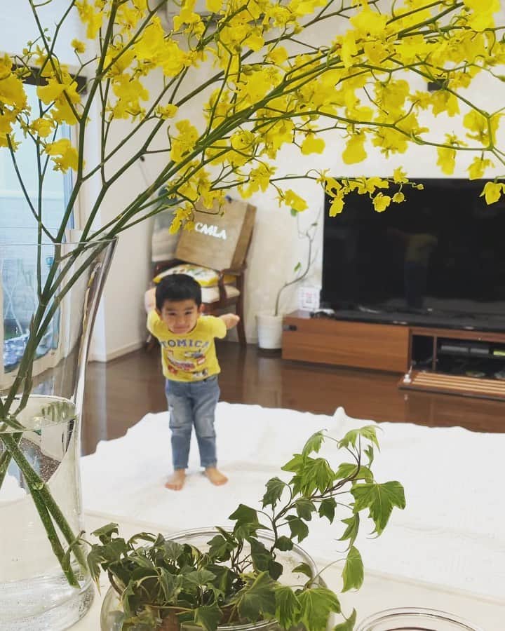 知念芽衣のインスタグラム：「氷食べただけで、 ハイテンション🕺✨ うらやましいです😂😂😂  久々に花を活けて　 癒されました💛 イヤイヤ期のイライラを、花に癒してもらいます、、😂  #2歳8ヶ月 #2歳男の子」