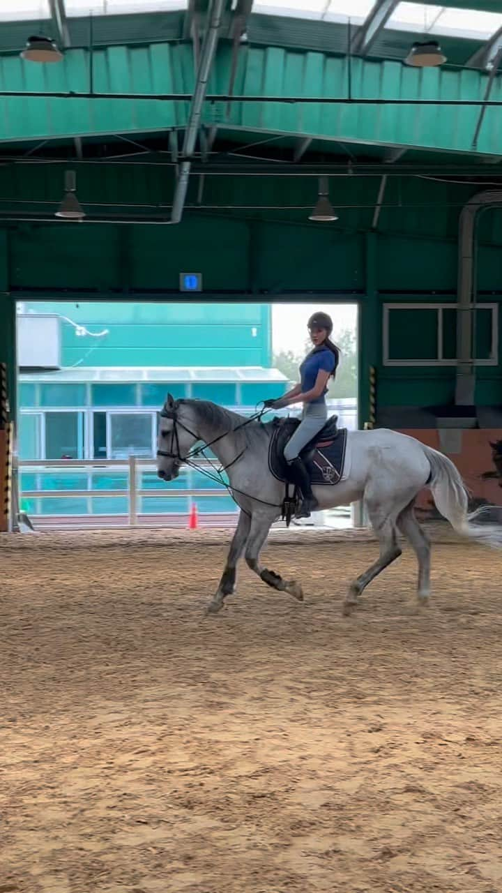 ヒョンア のインスタグラム：「겨울에 시작해서 핫여름까지, 🐴  가을 외승도 기다려지는군✨🦋 . #승마#승마초보#승린이#승마스타그램 #승마복 #cantering #equestrainlife」