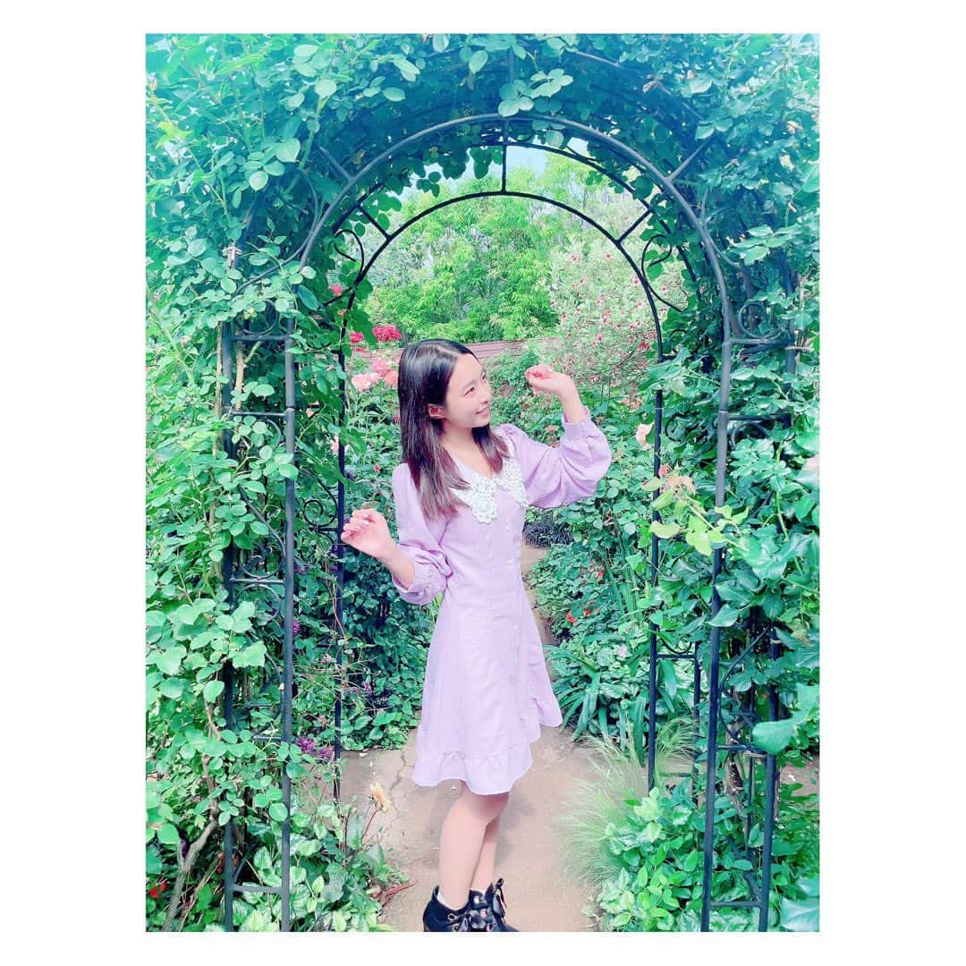 斎藤亜美のインスタグラム：「🌿  #イングリッシュガーデン #横浜イングリッシュガーデン #横浜 #梅雨 #薔薇 #斎藤亜美 #saitoami」