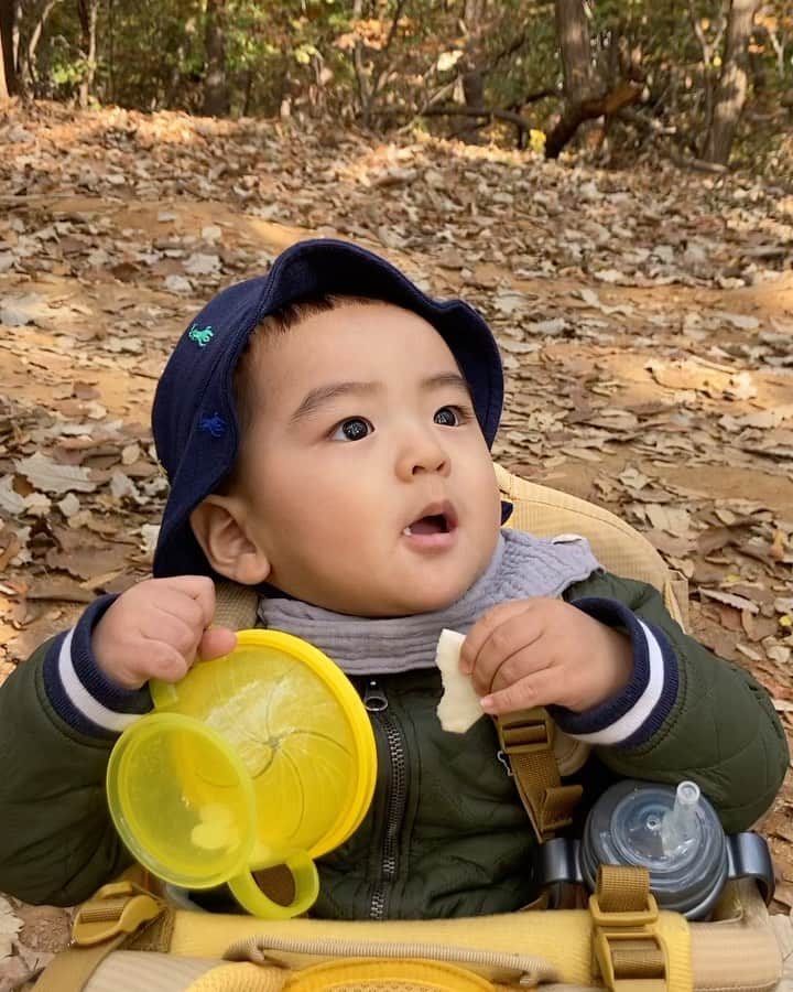 アン・スンファンのインスタグラム：「작년 가을🍂 아들이랑 등산🧡」
