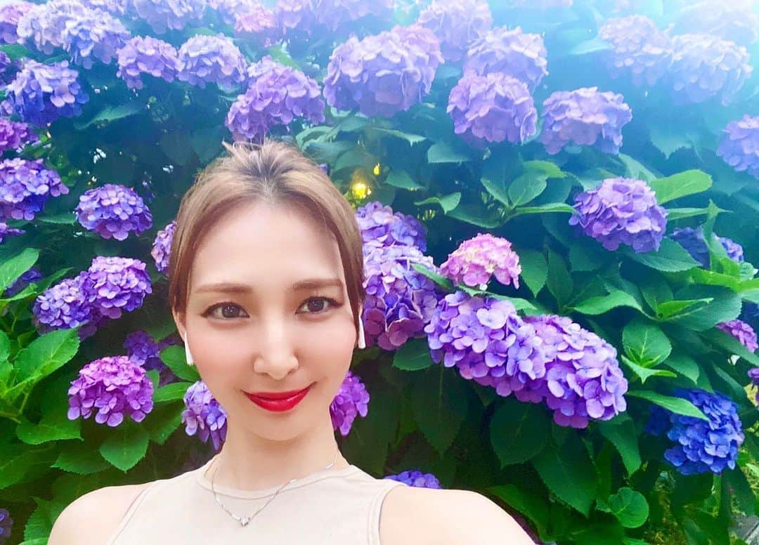 澤田友美のインスタグラム：「だーいすきだった紫陽花🫣 ネコにとって猛毒だなんて知らなかったごめんねジジ🐈‍⬛  部屋中紫陽花を沢山飾ってたころジジにとっては地獄だったってことだよね…😭 でももう紫陽花に何の思い入れもなくなったので、紫陽花の季節に浸る事はもうありません😮‍💨 なんかエモめだよね。 紫陽花って💠 綺麗なグラデーション。」