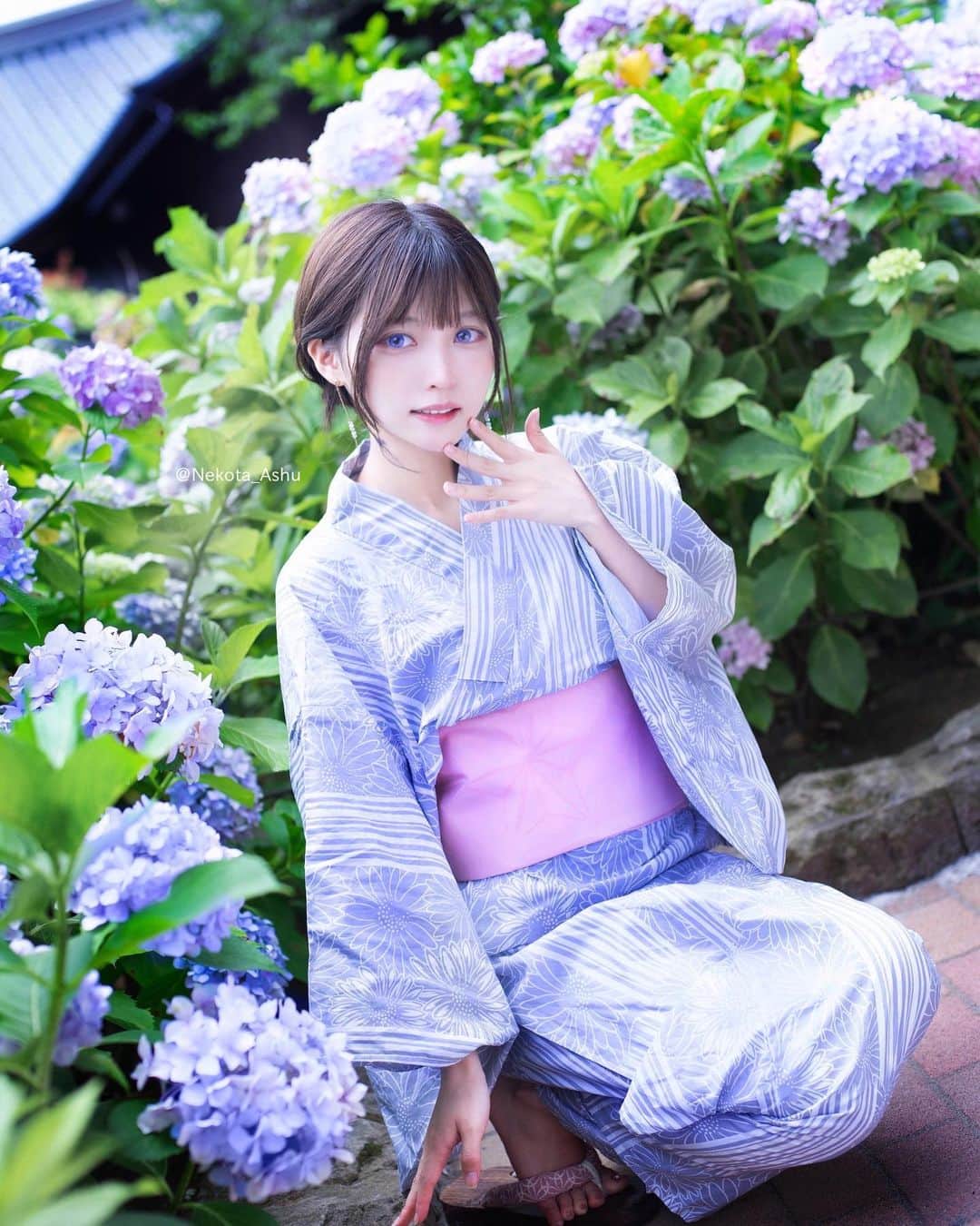 猫田あしゅのインスタグラム：「紫陽花 . . #浴衣 #japanese #japanesegirl #yukata #summer #cosplayer #浴衣女子 #日本 #自撮り #selfie #cosplay #夏 #角色扮演 #yukata #kimono  #wafuku #和服  #紫陽花 #浴衣ヘアアレンジ #hydrangea #浴衣ヘアアレンジ #着物  #浴衣コーデ  #浴衣アレンジ  #浴衣ヘア  #和服美人  #浴衣美人  #和服女子  #model #influencer #hair #hairarrange」