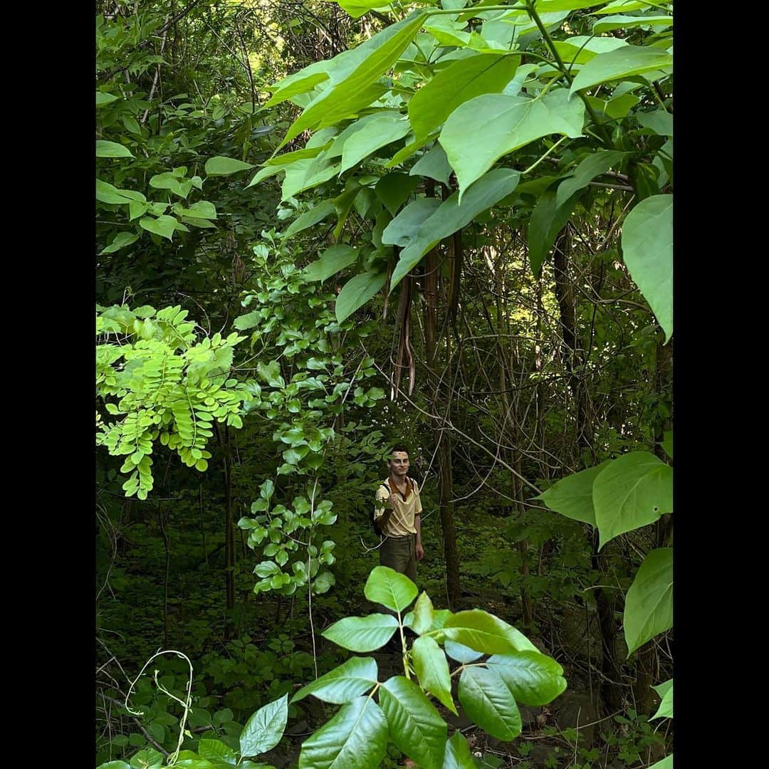 ワイヤット・オレフさんのインスタグラム写真 - (ワイヤット・オレフInstagram)「sunbreak」6月22日 14時47分 - wyattoleff