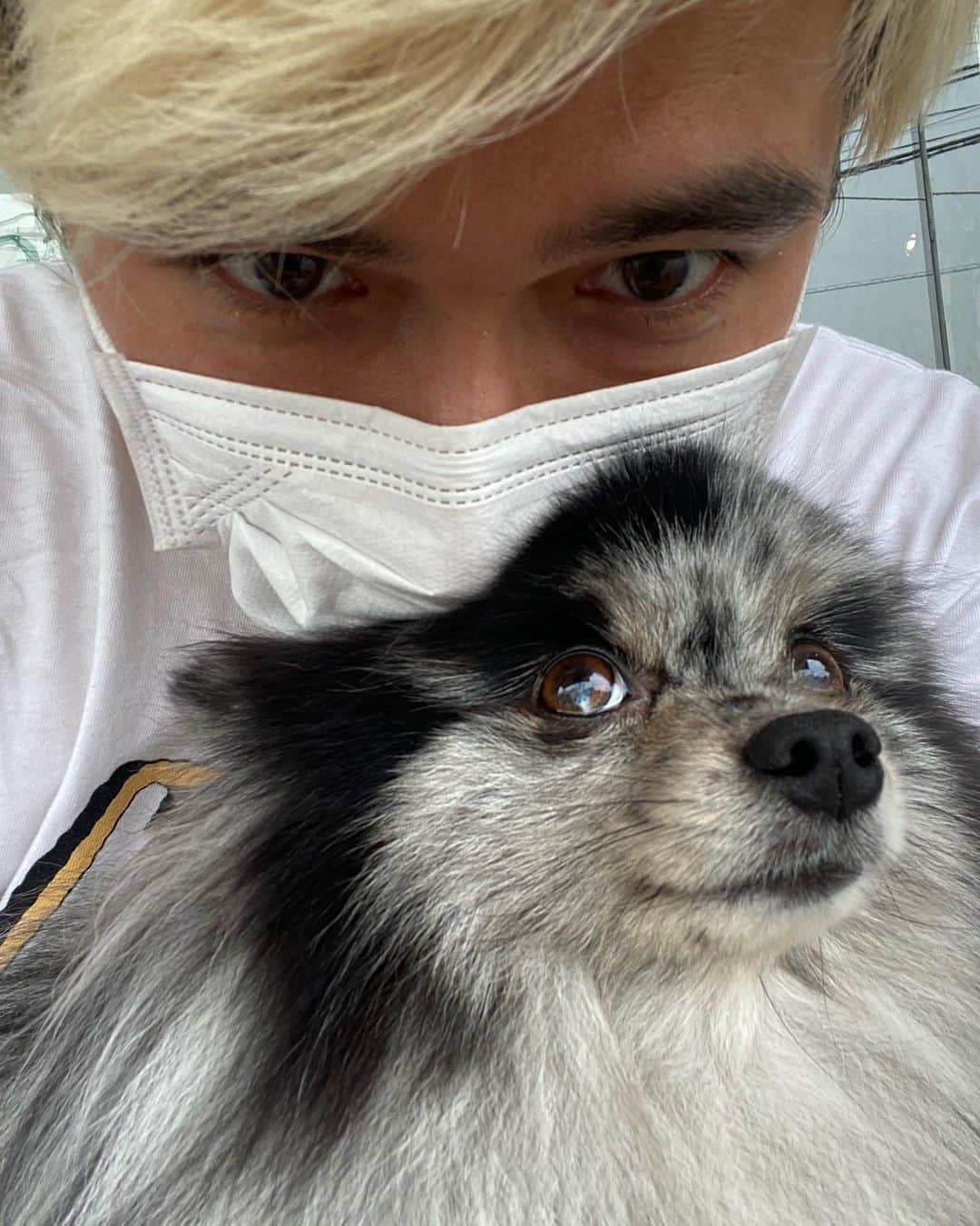 PDRさんのインスタグラム：「Me and our other baby 🐶」