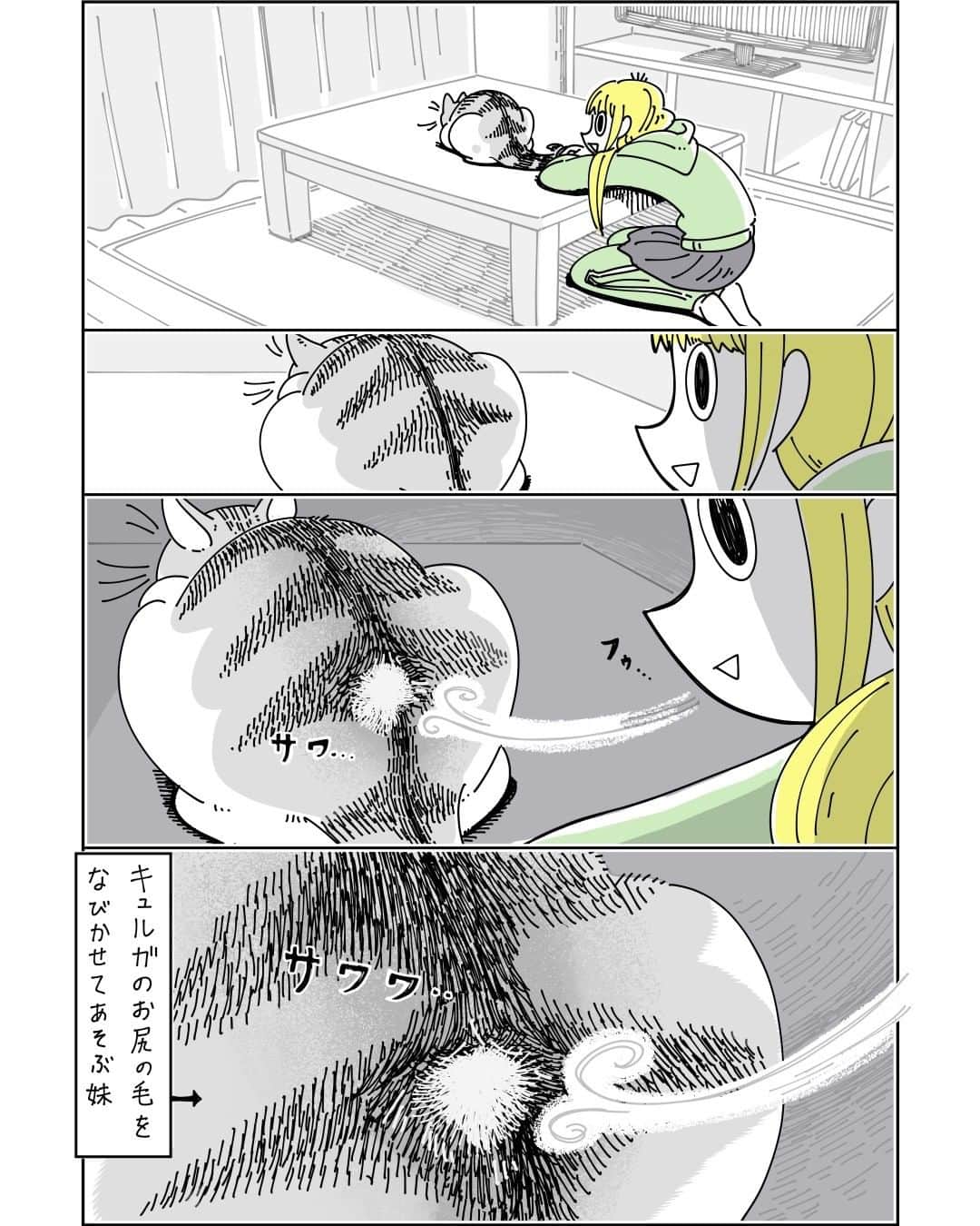 キュルZのインスタグラム：「やさしいネコパンチ  #キュルガ #夜は猫といっしょ #猫 #猫漫画 #猫のいる暮らし」