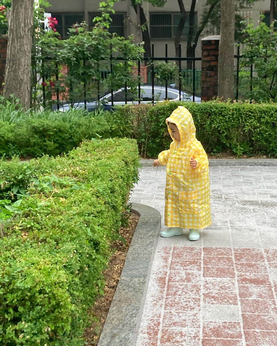 アン・スンファンさんのインスタグラム写真 - (アン・スンファンInstagram)「비오는 날 처음으로 우산을 써봤습니다. 🐥🐥🐥 아직은 어색하고 불편하지만 그래도 모든게 신기하고 재밌는 유민이였습니다. 💛☔️🌈」6月23日 10時29分 - an_thanks