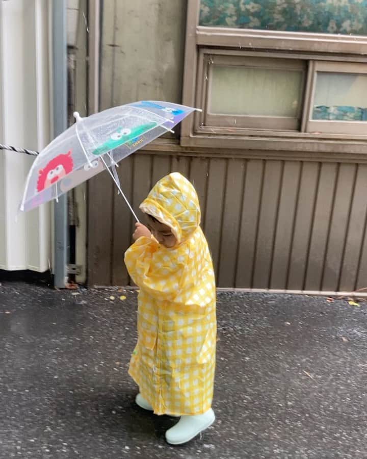 アン・スンファンのインスタグラム：「비오는 날 처음으로 우산을 써봤습니다. 🐥🐥🐥 아직은 어색하고 불편하지만 그래도 모든게 신기하고 재밌는 유민이였습니다. 💛☔️🌈」