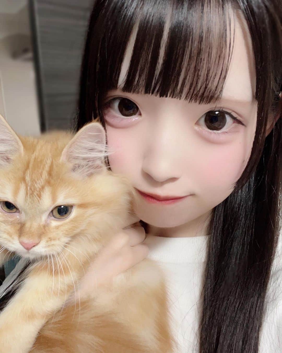 のインスタグラム：「つなさん‪‪♡  ・  ・  #アイドル #地下アイドル #コンカフェ嬢 #コンカフェ #雰囲気好きな人いいね #地雷女 #地雷系女子 ##地雷女子と繋がりたい #量産型ヲタク #量産型コーデ #jk #jkブランド #プリント倶楽部 #他撮り #自撮り界隈 #自撮り界隈の人と繋がりたい #1mmでもいいなと思ったらいいね #美男美女と繋がりたい #いいねした人全員フォローする #いいね返し #地下アイドル好きな人と繋がりたい #粉我 #偶像 #白色担当」