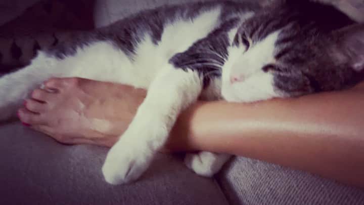 矢吹春奈のインスタグラム：「My little boy loves my leg 🥰❤️」