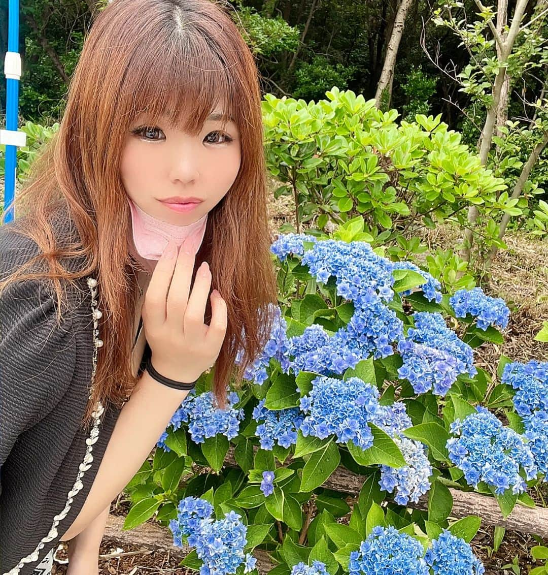 みんちゃん のインスタグラム：「ホテルの入り口にはお花がいっぱい🌺🌻🌷🌸🌼 . 青い花キレイだなぁ✨ . . . . . . . #海舟 #gal #和歌山 #露天風呂 #旅行好きな人と繋がりたい #ootdfashion #ootd #旅行 #温泉旅行 #温泉 #gotoトラベル #summer #花 #travel #gototravel #ギャル #sea #お風呂 #海 #flowers #浴衣女子 #ギャル #ホテル #hotel #記念 #いいね返し #ホテルステイ #浴衣 #白浜 #」