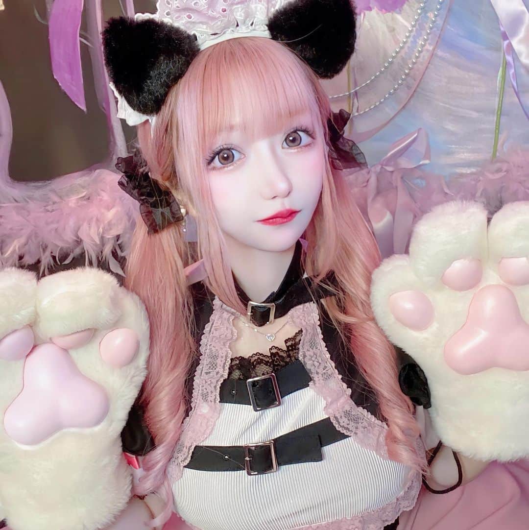 ふぇりすみにょんのインスタグラム