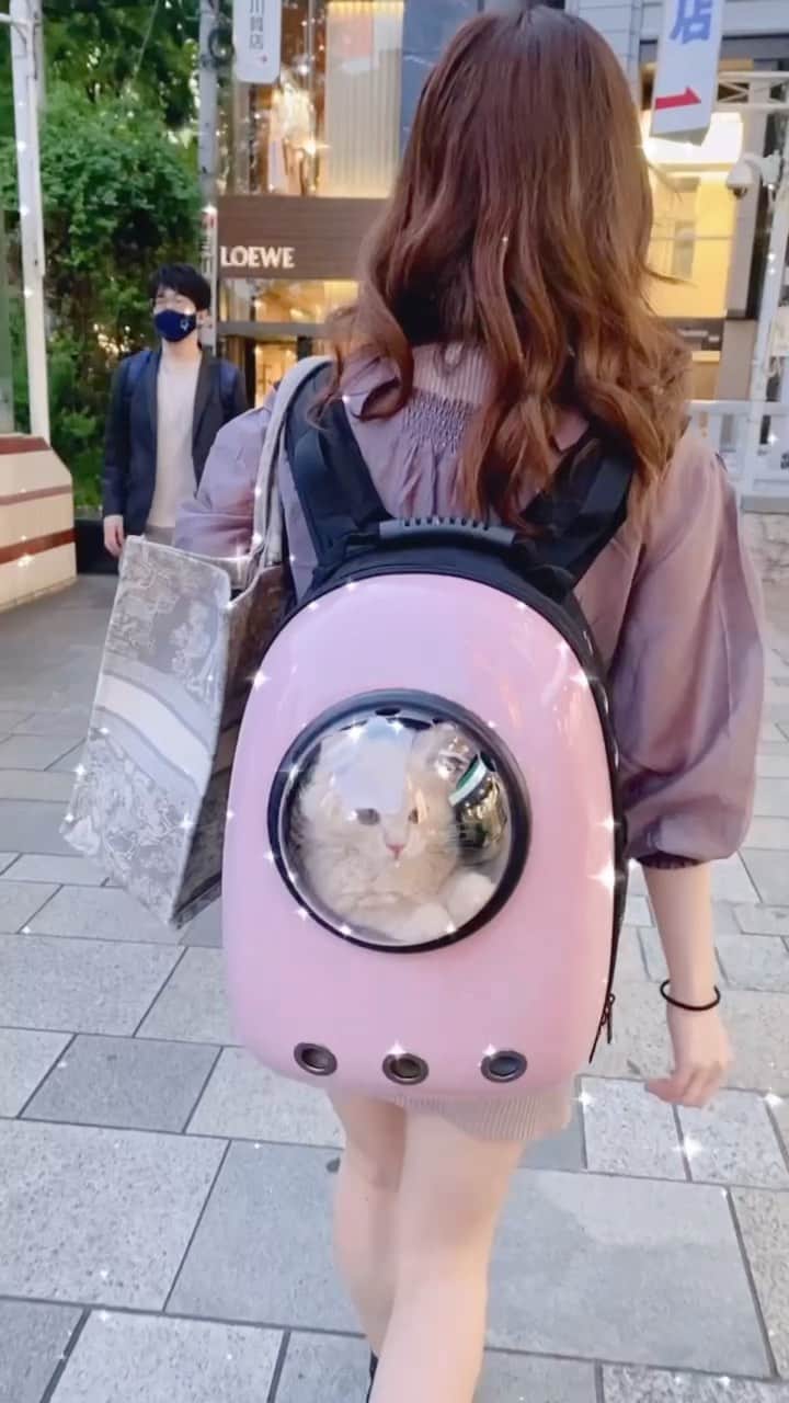 ゆうめろのインスタグラム