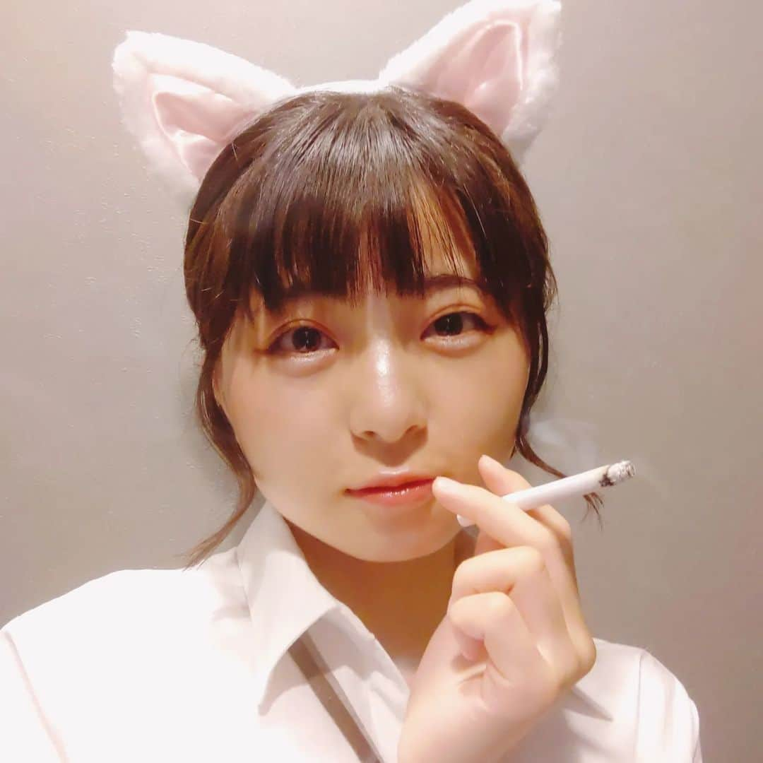 高田ぽる子さんのインスタグラム写真 - (高田ぽる子Instagram)「ﾆｬﾝﾆｬﾝ😺」6月24日 0時38分 - tkdporco