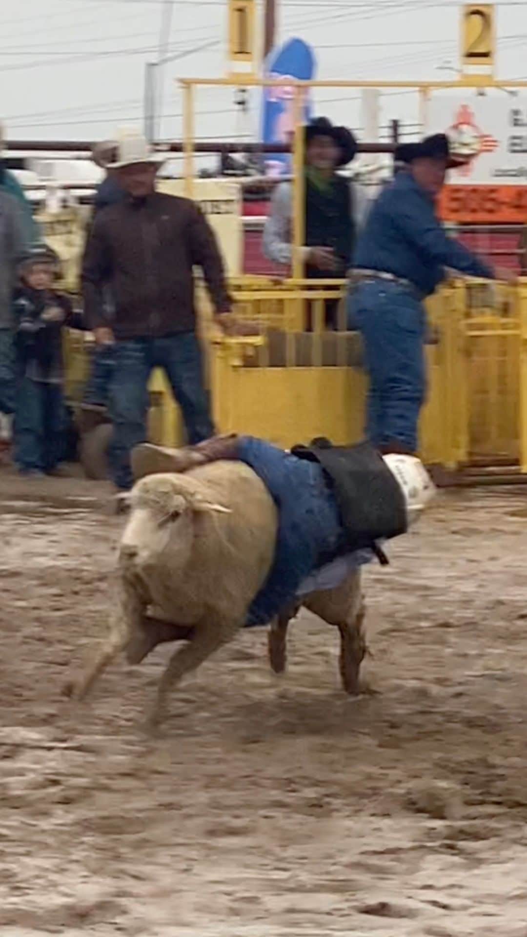 クリスのインスタグラム：「息子と二人初めてのロデオ！ Rodeo de Santa Fe! まさか子供たちも羊ロデオをやっているとは知りませんでした。　危なさそうで、楽しそうで、ちょっとやってみたい気分になる？　😮  @rodeodesantafe Santa Fe Rodeo」