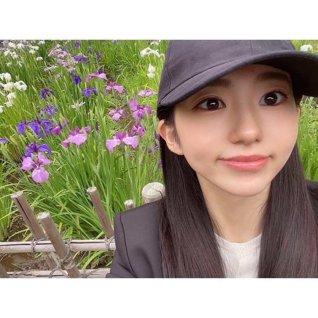 大島璃音のインスタグラム：「花菖蒲園が素敵な本土寺🛤  今年はここ数年で1番良く咲き、 少し開花が遅れたことで紫陽花と共に 楽しむことが出来たということです🧚🏻‍♀️嬉しい！  水辺に咲く花が好きなのですが、 大好きな蓮の花も一緒に堪能出来て とても素敵な空間でした🕊  素敵な庭園を見ては、 私も将来こんなお庭を作りたいなぁ💭 とアイディアを膨らませております😌」