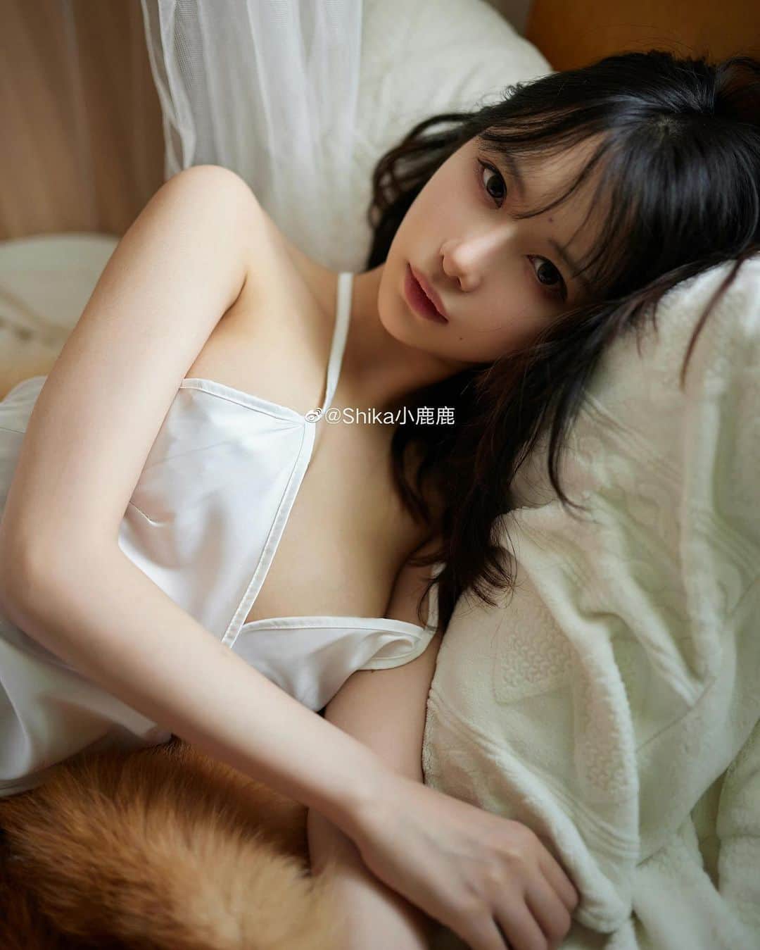 shikaのインスタグラム：「New photo  #写真 #写真好きな人と繋がりたい  #photo」