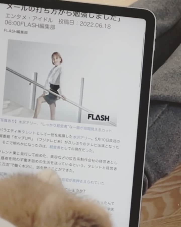 水沢アリーのインスタグラム：「肉球の感触にiPadもビックリw🐾⚡️⚡️⚡️ 会社経営と自己肯定感について取材を受けました👩🏻‍🏫  移動のお供にどうぞ🐶  #取材」