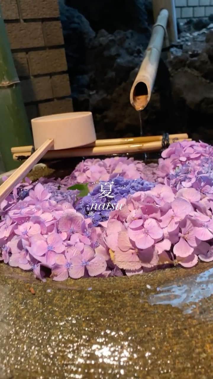天野ちよのインスタグラム：「🍧  #japan #日本 #日本の風景 #お散歩 #nature #reels #reelsinstagram #自然」