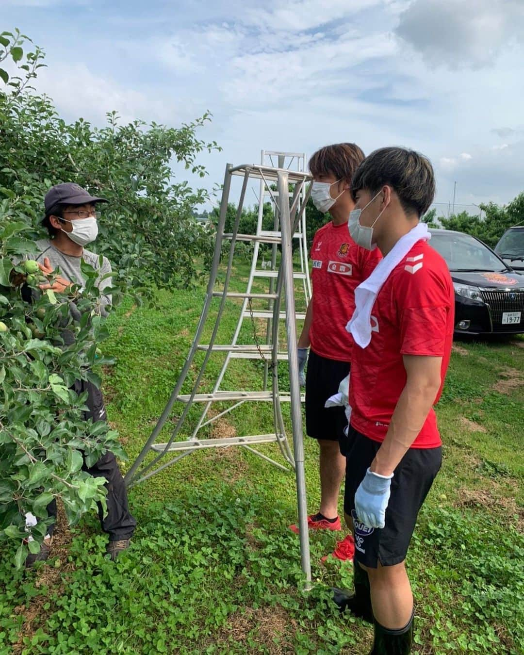 大武峻さんのインスタグラム写真 - (大武峻Instagram)「． 今日は福島ユナイテッドFC農業部、りんご課の課長として、大野農園さんでりんごの摘果作業を行ってきました。 りんご課の活動自体は今日で3回目でしたが、試合の日程の都合上1、2回目は参加できなかったので、今回ようやく課長としての責務を全う出来ました。 最近激しく降ったひょうの影響で傷んだ果実もあり、果物を育てる事の大変さを感じましたが、逆により一層それらを乗り越えて皆さんにより素晴らしい、より美味しいりんごを届けたいという思いになりました！ ． ． 作業が終わった後は大野農園さんが営業するOragenoというお店で、りんごオープンパイとりんごキャラメルサンドを購入して帰りました。 どちらも最高に美味しくて本当にオススメです！ 大野農園さんのオンラインショップもあるので興味ある方は是非食べてみてください！ ． ． #福島ユナイテッドFC農業部 #りんご課 #大武峻 #大野農園 #Orageno #オラゲーノ」6月25日 0時43分 - obu_shun