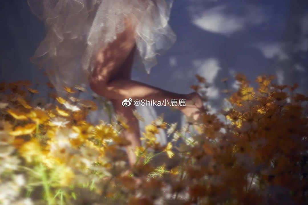 shikaのインスタグラム：「Part 2」