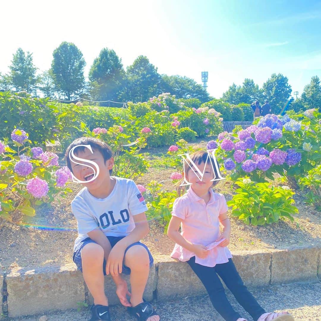 澤野井香里のグルメインスタ