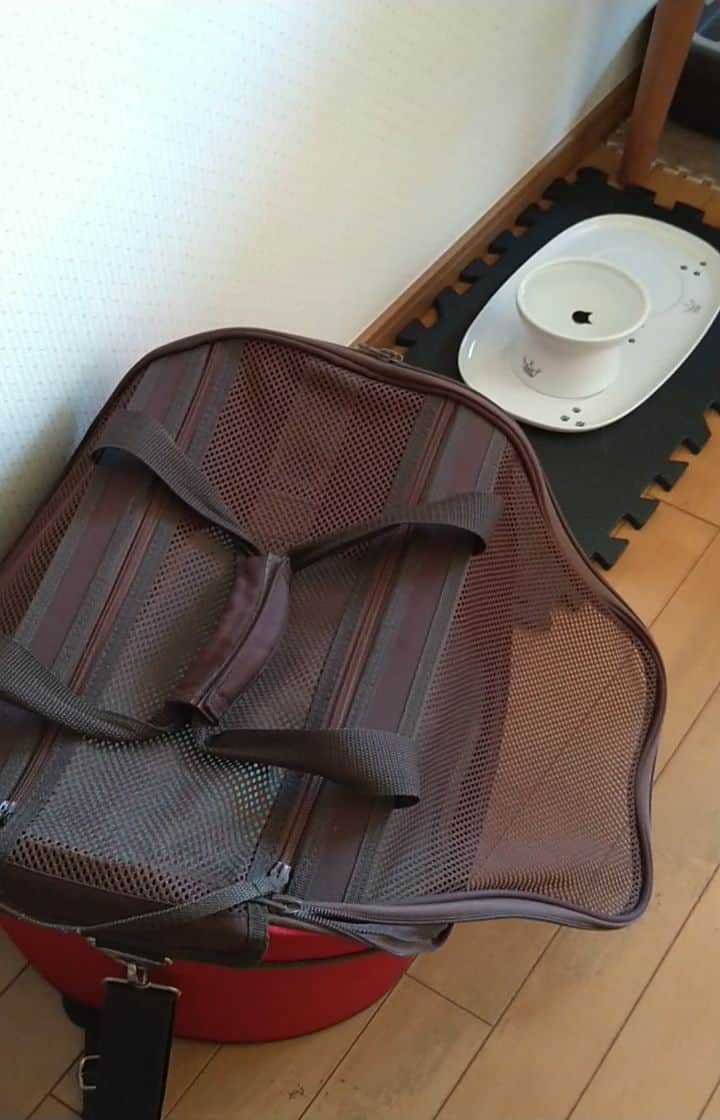 KAORUのインスタグラム