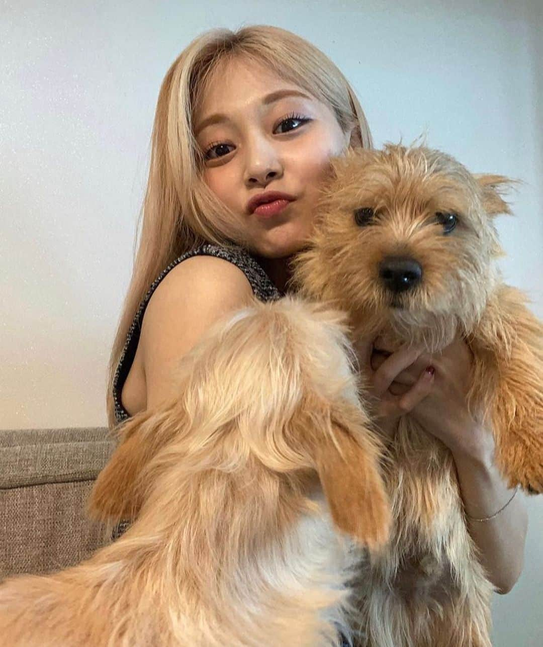 ツウィさんのインスタグラム写真 - (ツウィInstagram)「Are u a dog person?🐶」6月25日 18時59分 - chou_tzuyu