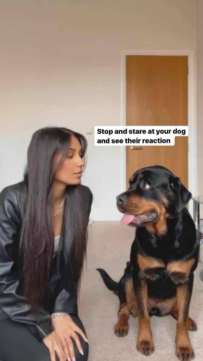 animals.coのインスタグラム：「THE EYEROLL 😂 Video by @nala_the_needy_rottie」