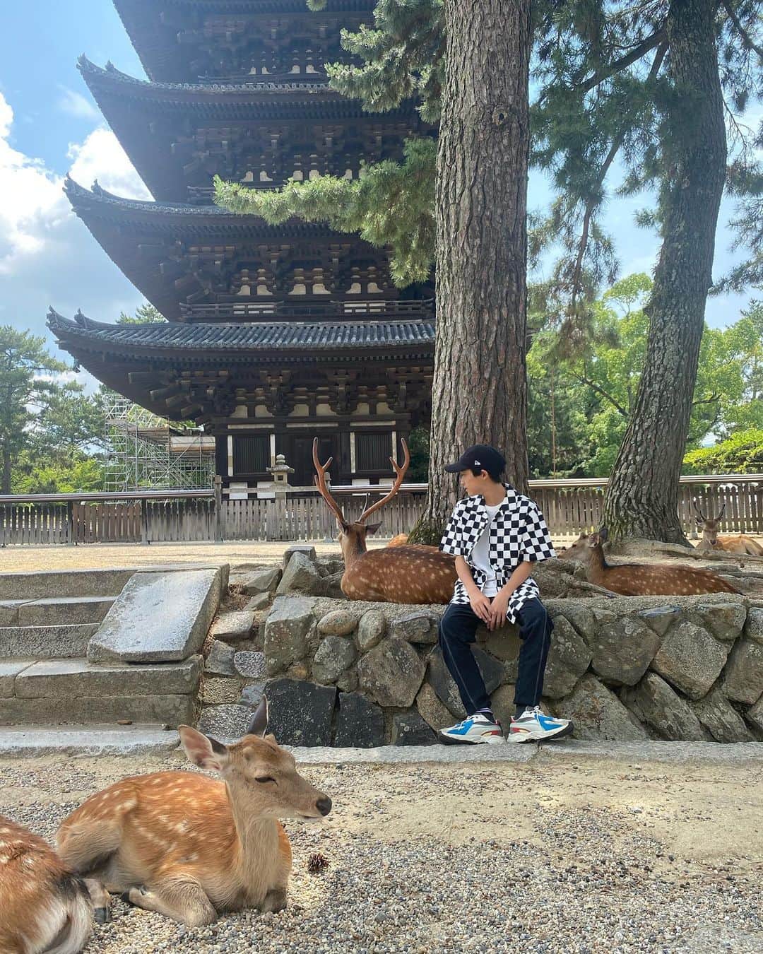 神田聖さんのインスタグラム写真 - (神田聖Instagram)「お久しぶりです🦌  今日は奈良へ行ってきました🦌 鹿に追いかけ回されて大変でしたが久しぶりに家族でお出かけ楽しかったです🙂🤍」6月25日 20時03分 - hiziri0323