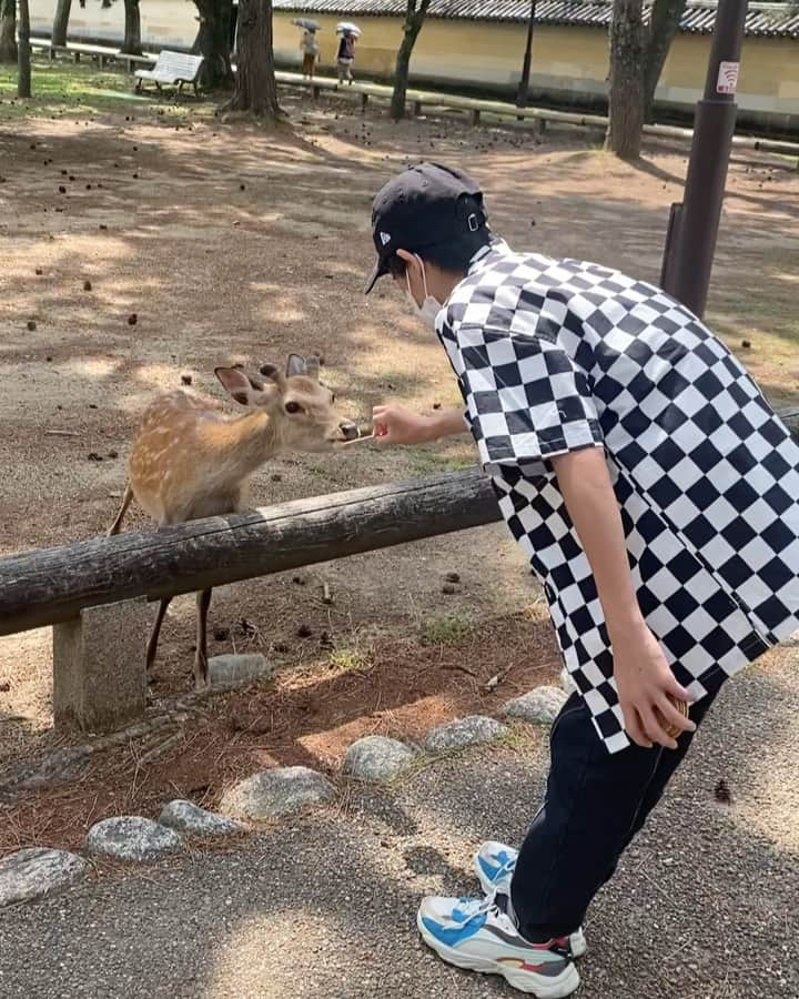 神田聖のインスタグラム：「お久しぶりです🦌  今日は奈良へ行ってきました🦌 鹿に追いかけ回されて大変でしたが久しぶりに家族でお出かけ楽しかったです🙂🤍」