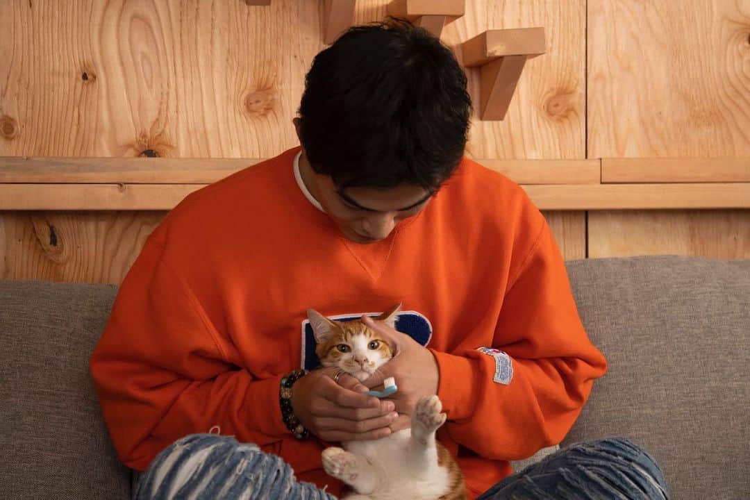 のインスタグラム：「. ねこ物件🐱 続々最終回を迎えています 皆様に楽しんでいただけていたら嬉しいです^ ^  #ねこ物件」