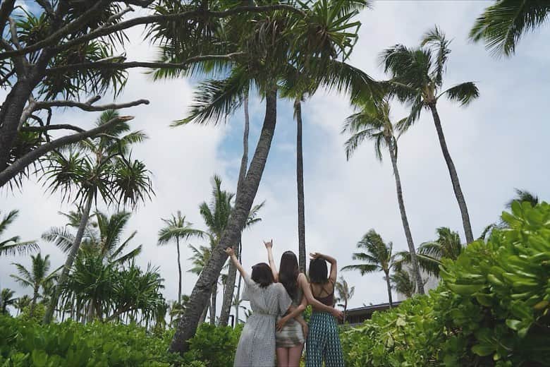宮内理沙のインスタグラム：「🫶🌴🌺  載せたいものがまだまだあるので何かのタイミングで載せると思いますが、こちらで一旦ハワイ連投は終わりにしたいと思います🙏💐 . . 今回のお仕事を通して改めてハワイの素晴らしさを実感すると同時に、コロナの影響だけでなく以前からの環境問題について深く考えさせられました。 今後に活かせるようもっと勉強します💡 . . 素敵な企画をありがとうございます☺️✨ そして沢山のハワイ投稿にお付き合いいただきありがとうございました🥲🤍  #MakeUpEarth #🌍❤️」
