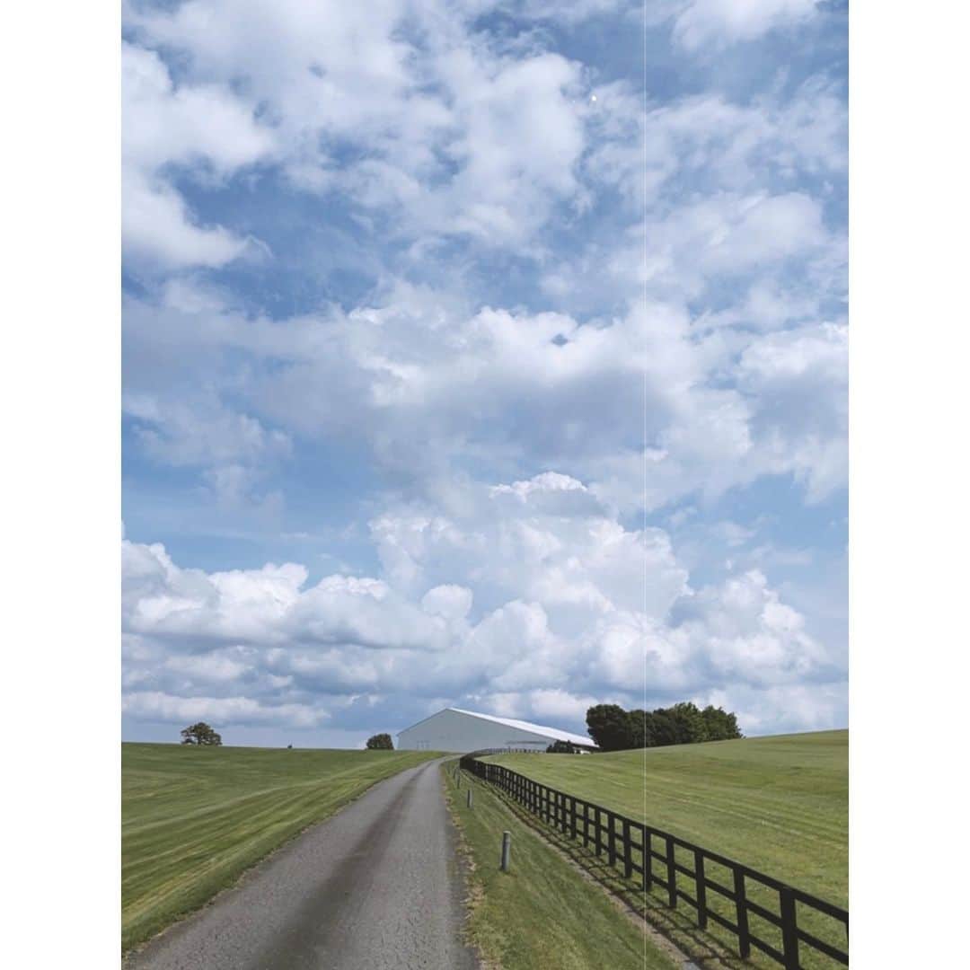 紗栄子のグルメインスタ