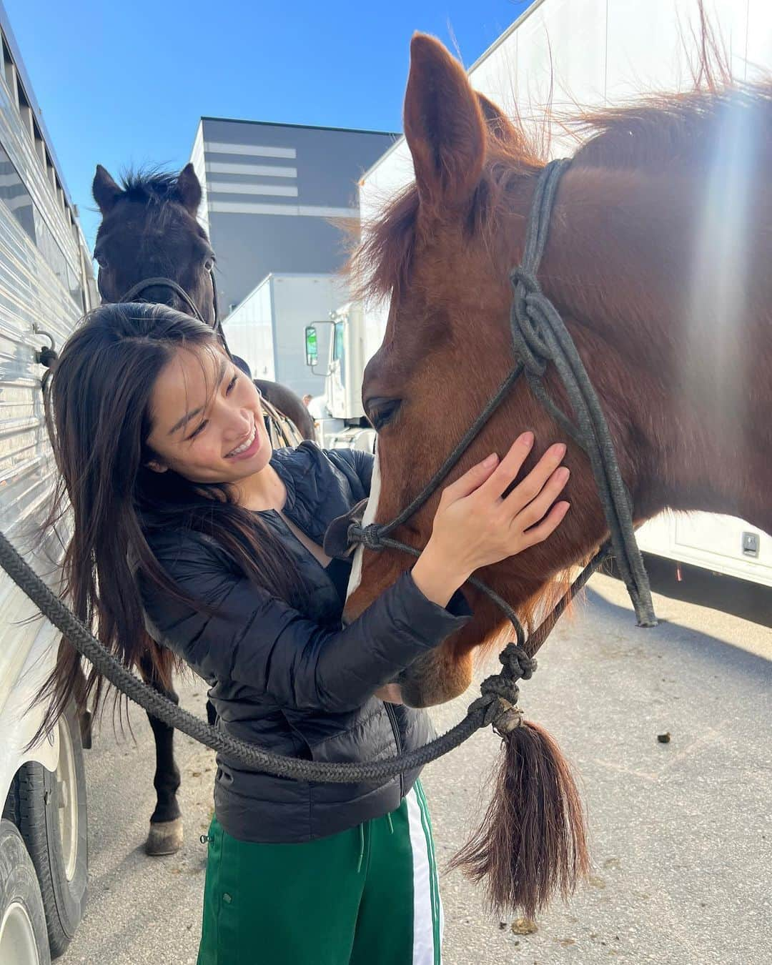 Anna さんのインスタグラム写真 - (Anna Instagram)「My favorite castmate from the set of Shogun♥️  The crew would joke that anytime I went missing, they’d look for the horses or crafty (where I’d be getting apples for the horses). Wasn’t really a joke though.  A big thank you to the Jamie and his team for everything they taught me and always letting me come hang out. I’ll miss you Deucie poo🤎  とても懐っこくて、自分の紐を解いちゃう頭の良さを持ちながら、公園で遠くに人が見えたらびっくりして動かなくなっちゃう面白い性格のドゥース。 いっぱい幸せ分けてくれてありがとう。私のこと忘れないでね🥹」6月26日 9時04分 - annasawai