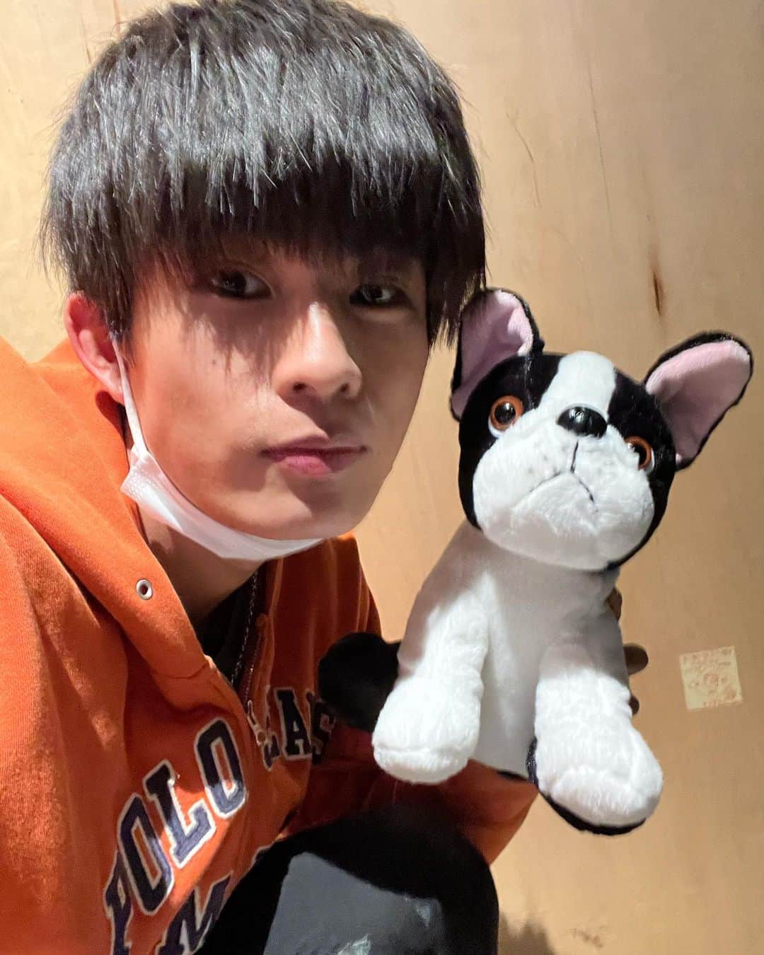 柊太朗のインスタグラム：「ドン17話ありがとうございました！  過去も現在も翼について少しずつわかってくる回でした！ これからもお楽しみに！  #ドンブラザーズ  #犬塚翼」