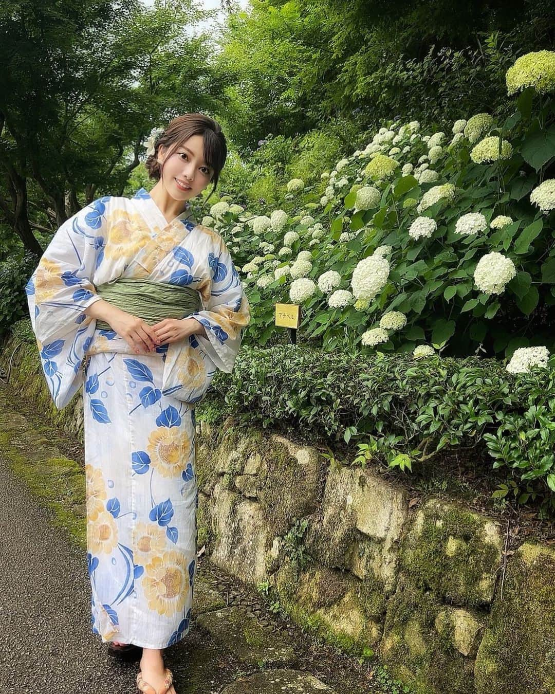 八幡美咲さんのインスタグラム写真 - (八幡美咲Instagram)「満開のアジサイ。 梅雨の時期にぴったりのお花𖤣𖥧𖥣｡𖥧𖧧  今見頃を迎えている 広島県三原市の三景園に お邪魔しました☺️✨  中継直前まで雨がザーッと降っていたものの 本番5分前には晴れて 日差しが差し込んできました☀️🥰  紫陽花の色は 同じ品種でも土壌の酸性度によって 花の色が変わるそう✨  日本は火山大国で 土壌が酸性傾向が強いことから 青色や紫色の紫陽花を多くみるんだそうです🍃  来週末ごろまで楽しめるそうなので 梅雨時期のお出かけに いかがですか(ꕤ ॑꒳ ॑*)ﾉ♡  #紫陽花 #浴衣ヘア #浴衣ヘアアレンジ #三景園 #紫陽花まつり #紫陽花寺 #紫陽花の季節 #紫陽花祭り #浴衣 #浴衣アレンジ #広島 #広島お 出かけスポット #広島観光 #アナウンサー #生中継 #アナウンサーコーデ」6月26日 19時11分 - misa_tabi0123