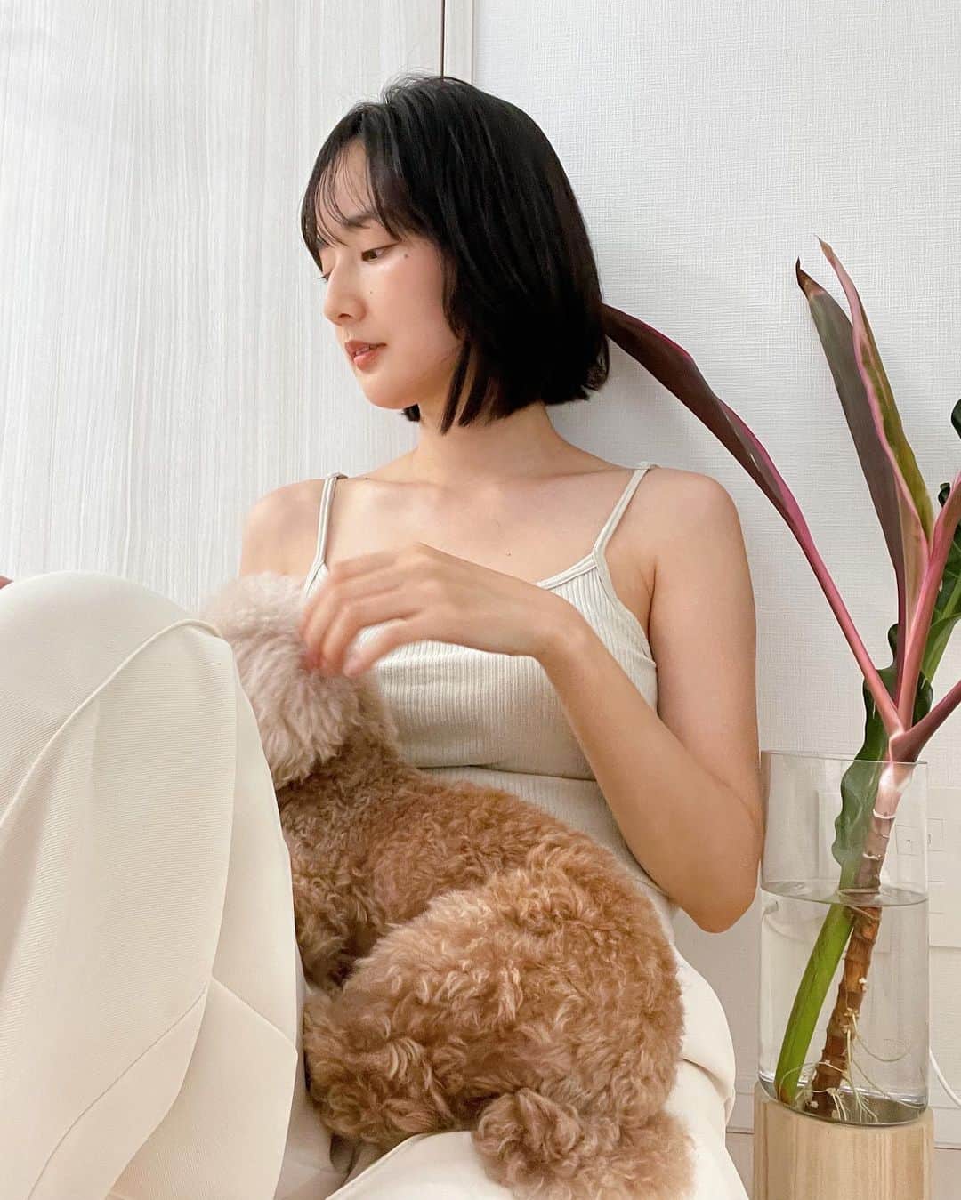 高嶋香帆のインスタグラム：「日曜日は皆さん如何お過ごしで？🐶  #おうち時間 #外暑すぎて #犬のいる暮らし #ショートボブ #ショートヘア #japanesegirl #followmeplease」