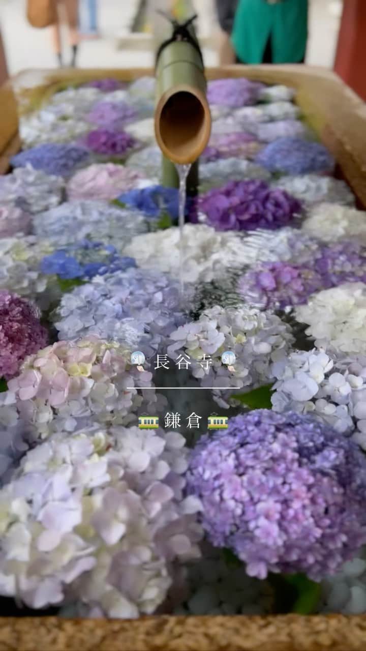 志村美希のインスタグラム：「🎐🚃🌧☂️」